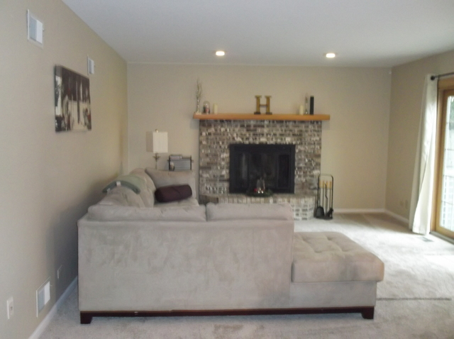 719 Laurel Ave, Des Plaines, IL 60016 photo 5