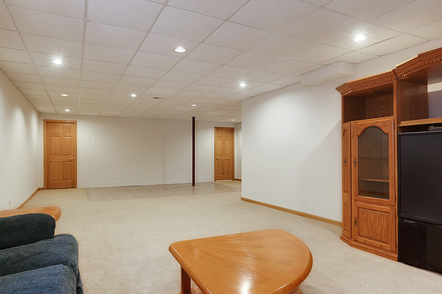 421 4th St, Lemont, IL 60439 photo 23