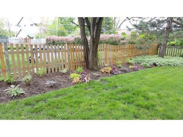458 E Park Ave, Elmhurst, IL 60126 photo 22