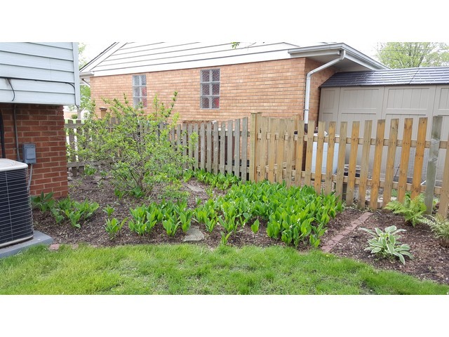 458 E Park Ave, Elmhurst, IL 60126 photo 23