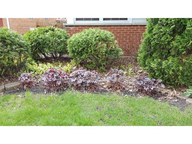 458 E Park Ave, Elmhurst, IL 60126 photo 24