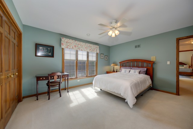 26 Pine Tree Ln, Burr Ridge, IL 60527 photo 17