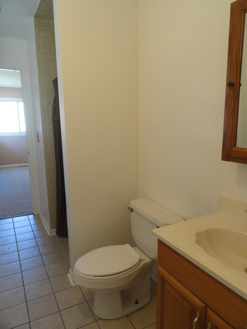 5323 Meadow St, Mchenry, IL 60050 photo 12