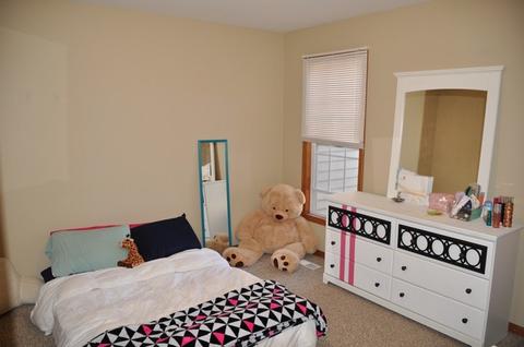 1315 Dancing Bear Ln, Elgin, IL 60120 photo 16