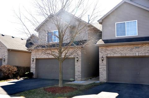 1315 Dancing Bear Ln, Elgin, IL 60120 photo 3