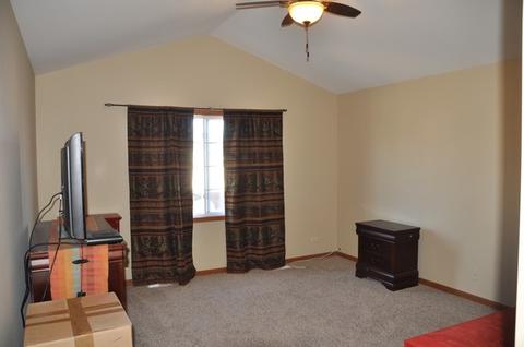 1315 Dancing Bear Ln, Elgin, IL 60120 photo 14