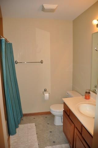 1315 Dancing Bear Ln, Elgin, IL 60120 photo 18