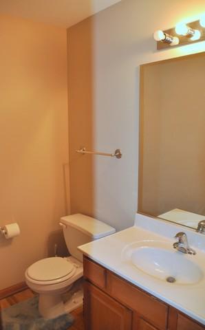 1315 Dancing Bear Ln, Elgin, IL 60120 photo 12