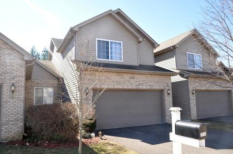 1315 Dancing Bear Ln, Elgin, IL 60120 photo 1