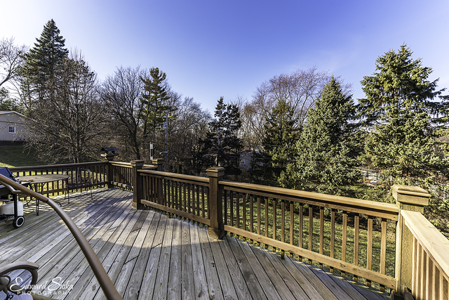 1834 Maple Ln, Sleepy Hollow, IL 60118 photo 22