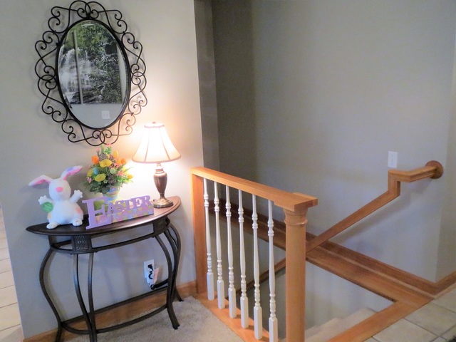 1248 Trail Dr, Dixon, IL 61021 photo 8