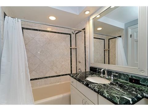 210 E Pearson St #16C, Chicago, IL 60611 photo 9