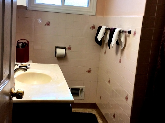 4641 Locust Ave, Glenview, IL 60025 photo 8