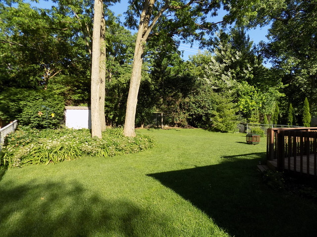 1615 Charles Ave, Algonquin, IL 60102 photo 13