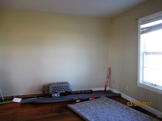 905 E Grinter Rd, Mazon, IL 60444 photo 5