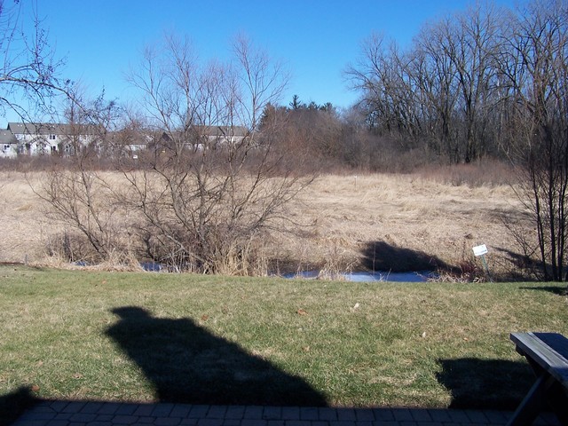 325 Brittany Trl, Elgin, IL 60120 photo 6