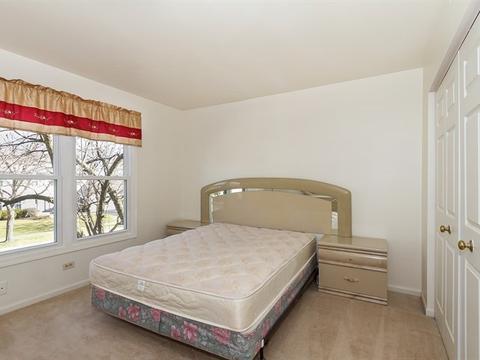 1065 Willoby Ln, Elgin, IL 60120 photo 19