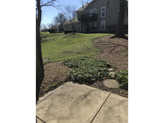 750 Ripple Brook Ln, Elgin, IL 60120 photo 14