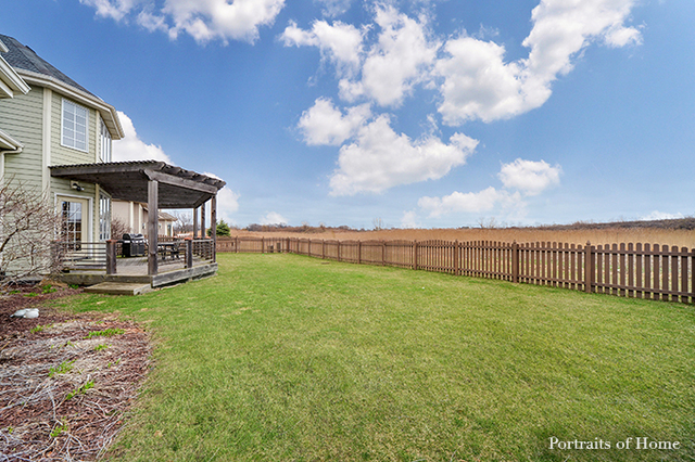 25323 W Alison Rd, Plainfield, IL 60586 photo 23