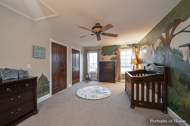 25323 W Alison Rd, Plainfield, IL 60586 photo 19