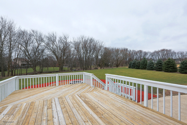 12137 S Wolf Dr, Plainfield, IL 60585 photo 20