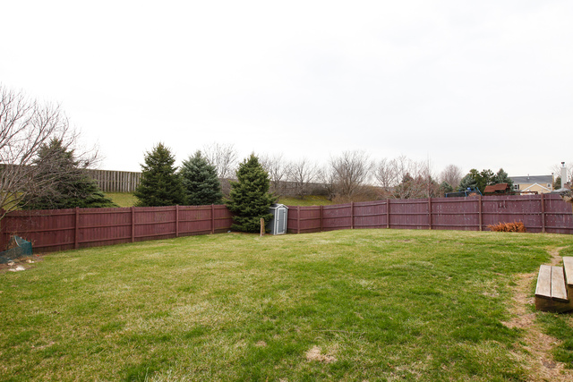 12459 Falcon Dr, Plainfield, IL 60585 photo 13