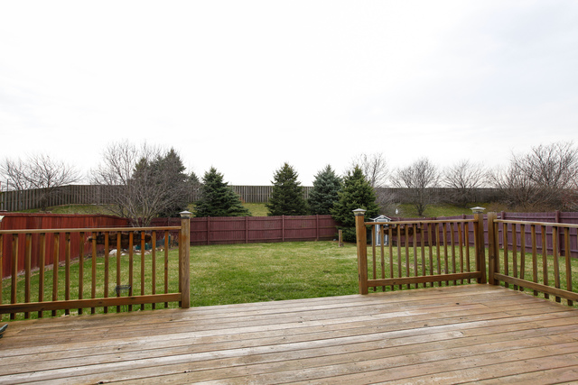 12459 Falcon Dr, Plainfield, IL 60585 photo 14