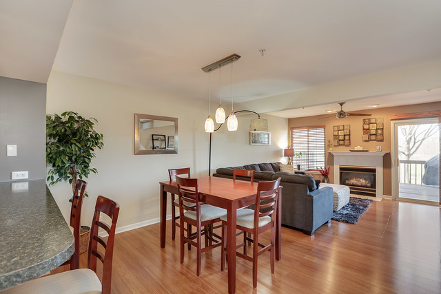 440 Cavalier Ct #E, West Dundee, IL 60118 photo 8