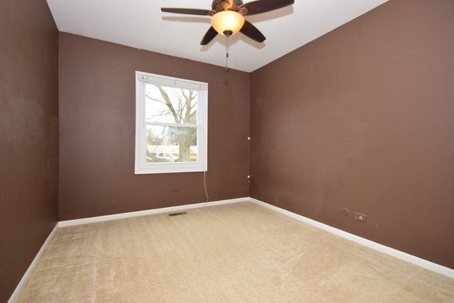 254 Jackson Ct, Bartlett, IL 60103 photo 21