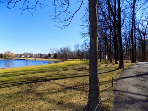 995 Vineyard Dr, Gurnee, IL 60031 photo 26