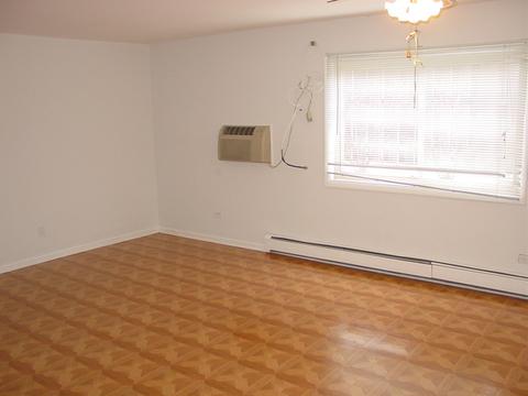 1219 E Washington St #A101, Des Plaines, IL 60016 photo 3