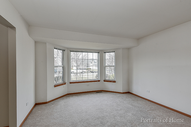 25315 S Plainview Dr, Channahon, IL 60410 photo 4