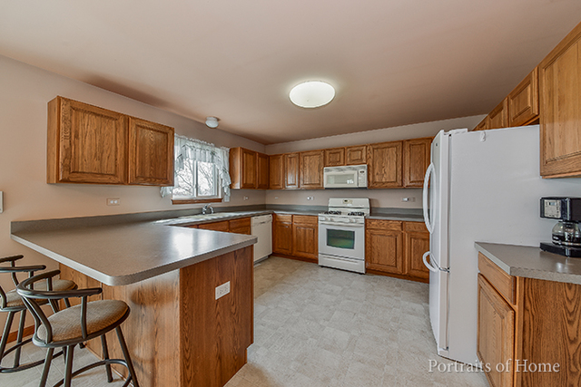 25315 S Plainview Dr, Channahon, IL 60410 photo 11