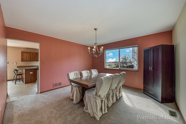 25315 S Plainview Dr, Channahon, IL 60410 photo 6