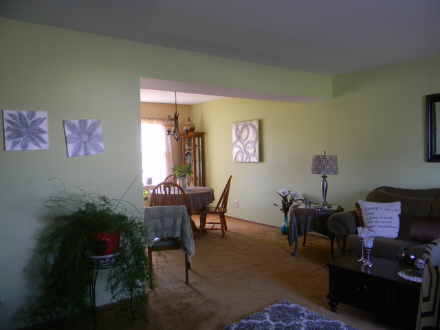 118 Springbrook Ct, Mchenry, IL 60050 photo 3