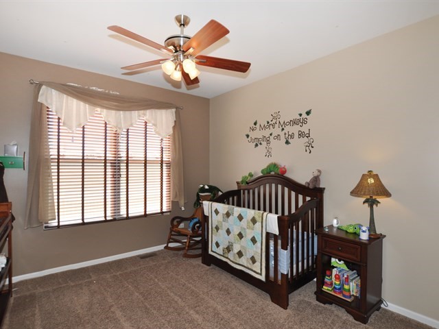 25448 Spring St, Manhattan, IL 60442 photo 13