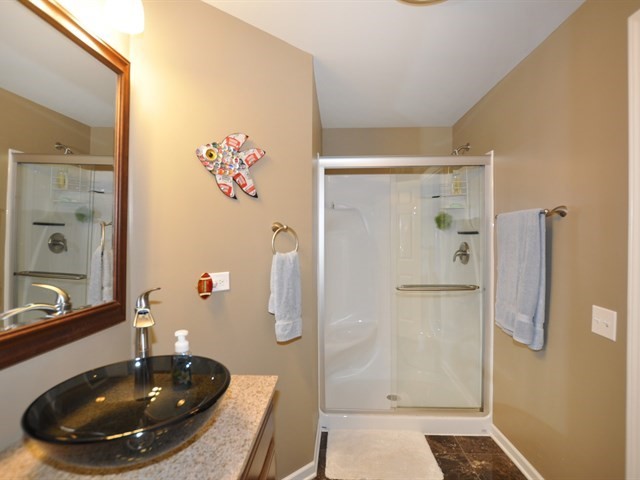 25448 Spring St, Manhattan, IL 60442 photo 19