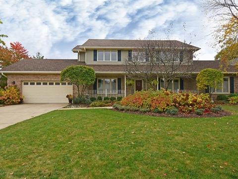 10623 Celtic Ct, Mokena, IL 60448 photo 1