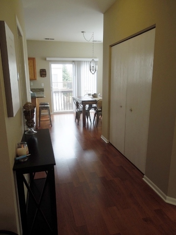 211 Terra Firma Ln, Volo, IL 60020 photo 10