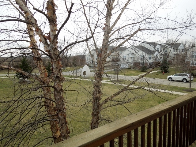211 Terra Firma Ln, Volo, IL 60020 photo 21