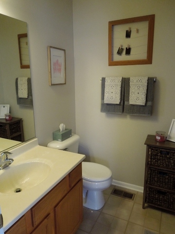 211 Terra Firma Ln, Volo, IL 60020 photo 17
