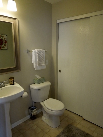 211 Terra Firma Ln, Volo, IL 60020 photo 11