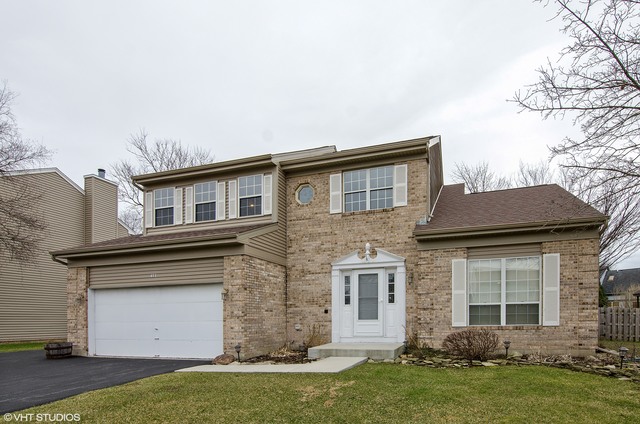 411 Old Oak Cir, Algonquin, IL 60102 photo 1