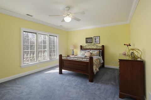 75 Park Ln, Golf, IL 60029 photo 21