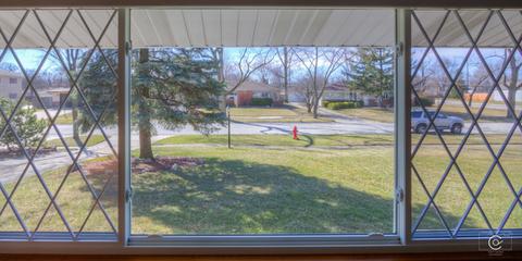 20 Pleasant St, Hoffman Estates, IL 60169 photo 10
