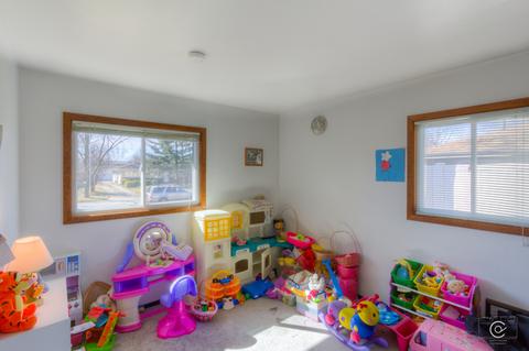 20 Pleasant St, Hoffman Estates, IL 60169 photo 20