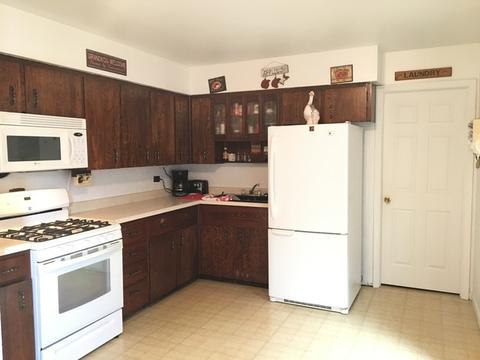20 Pleasant St, Hoffman Estates, IL 60169 photo 5
