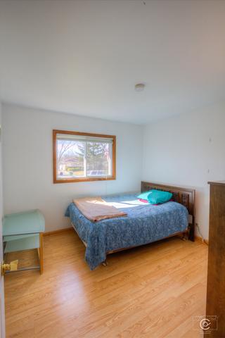 20 Pleasant St, Hoffman Estates, IL 60169 photo 16