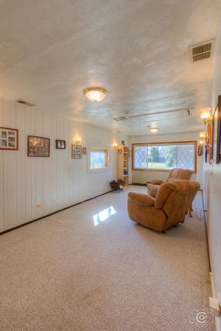 20 Pleasant St, Hoffman Estates, IL 60169 photo 8