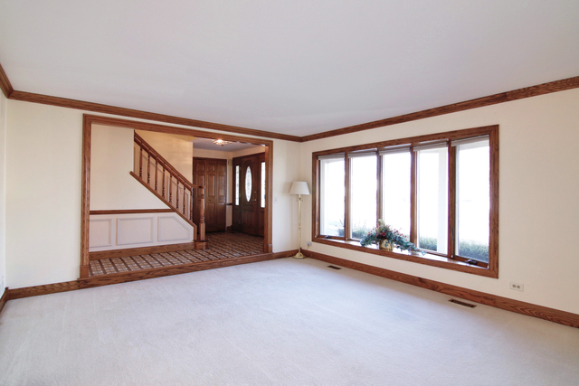30 Brookside Dr, Roselle, IL 60172 photo 10